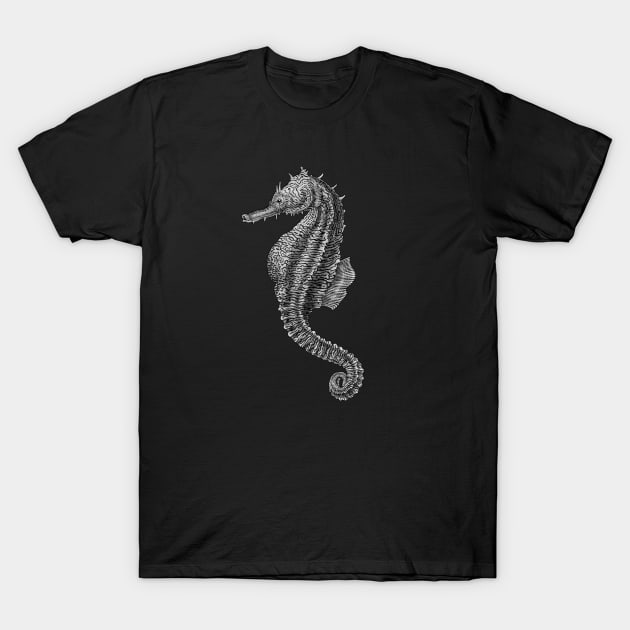 Seahorse T-Shirt by Tim Jeffs Art